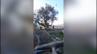 Israeli settlers vandalize fence of Abu’ Eishah family’s home in Hebron and throw stones at it