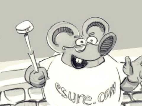 Esure animatic work-in-progress.