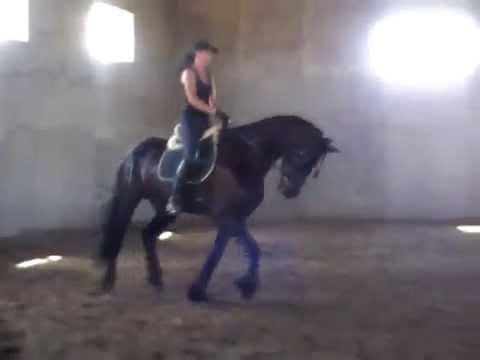 Timmo Tie от Brend 413