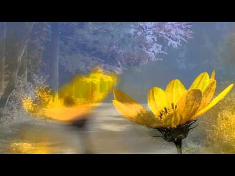 Wśród tylu dróg - o.Mariusz Małkiński