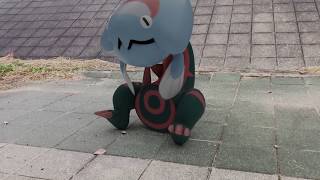 迷子のウオノラゴン
