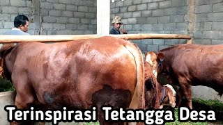 Download lagu SEMOGA BERHASIL‼️ Dolan Kandang Peternak Pemula mp3 Download lagu SEMOGA BERHASIL‼️ Dolan Kandang Peternak Pemula mp3