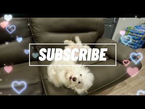 This is Jandi the playful!!