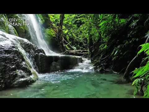 RAMAZANSKA DOVA 11. DAN - MTV IGMAN