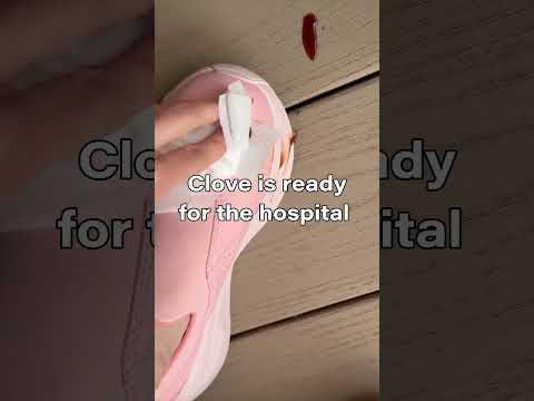 Clove® Nursing Shoes