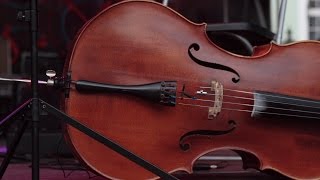 C-JAM - The Ripper (Judas Priest cover) (Live)