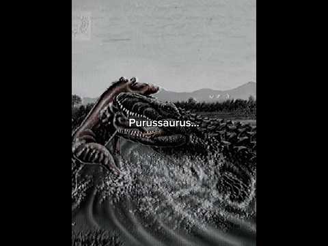 The largest predator of the Cenezoic #prehistoric #purussaurus #crocodile