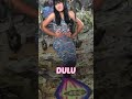 Dulu Mermaid Imut Sekarang Mermaid Cantik Shorts