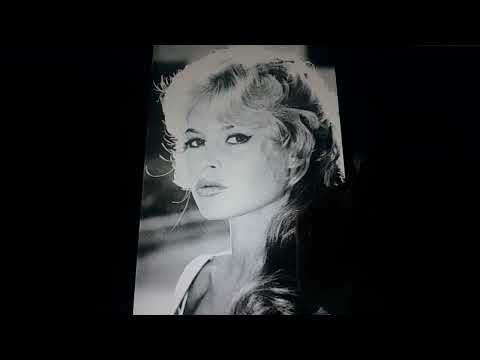 Horacio the handsnake - Brigitte Bardot/B.B.