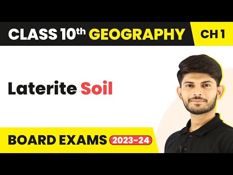 image-What is the predominant clay mineral in lateritic soil?