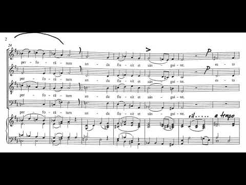 Ave verum corpus (Mozart) - Alto practice