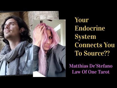 p.3 How The Endocrine System Connects to The Cosmic Mind. Mattias De'stefano and Law Of One Tarot