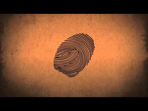 The Time Traveller's Guide to Investigating Crime - Part 1