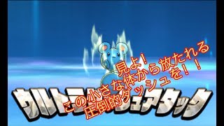 〜ルリリのウルトラダッシュアタック〜【目指せポケモンマスターへの道part2】