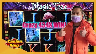 Incredible 434x WIN on Magic Tree Slots! [Day 2 - Slots Challenge 3]