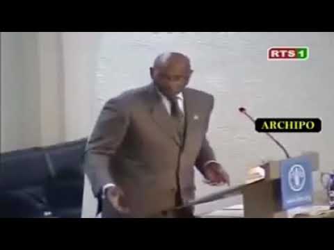 BIC ROUGE DE WADE - ONU