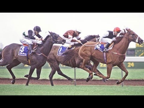 1990 VRC Blamey Stakes