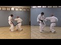 Taisabaki Waza Bunkai 2002 10 11 12