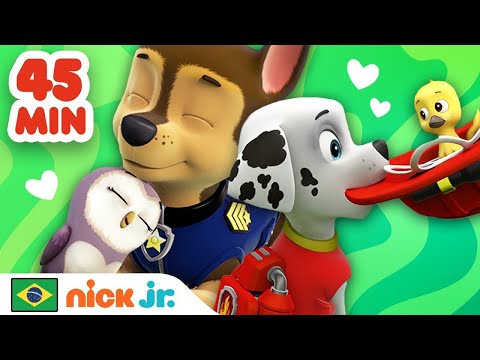 Capa de Patrulha Canina | 45 Minutos de Resgates de Filhotinhos com a Patrulha Canina! Parte 2 | Nick Jr.