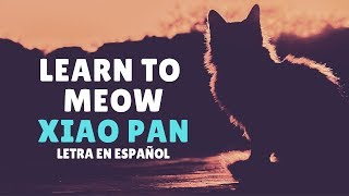 Download lagu learn to meow (学猫叫) xiao pan pan & xiao feng feng /Sub Español/Pinyin/Chino/TIK TOK mp3