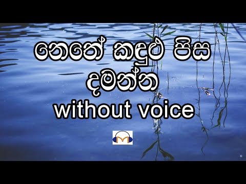 Nethe Kandulu Pisa Damanna Karaoke (without voice) නෙතේ කඳුලු පිස දමන්න