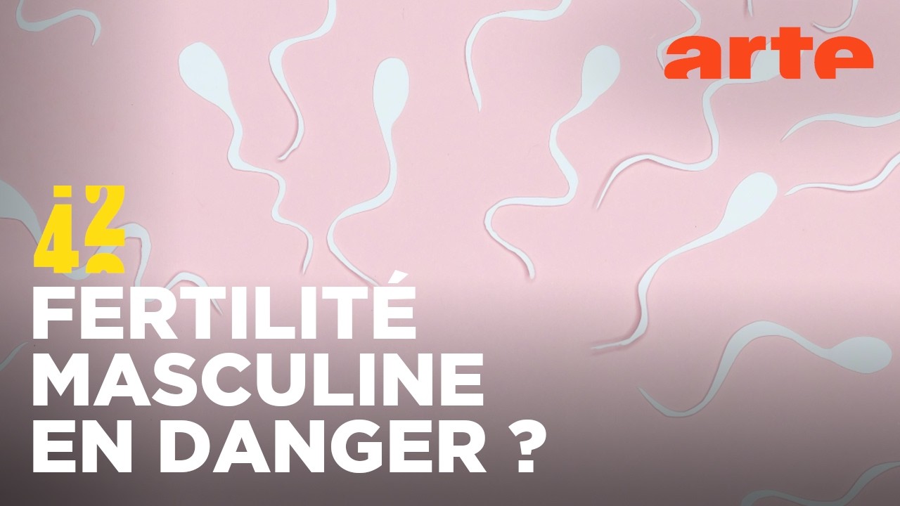 Vivons-nous une crise du sperme ? | 42 - La réponse à presque tout | ARTE