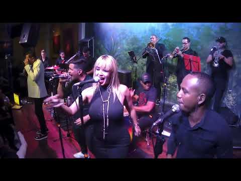 Paulito Fg | La Matadora | Live