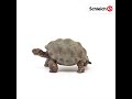 Schleich figūrėlė Vėžlys