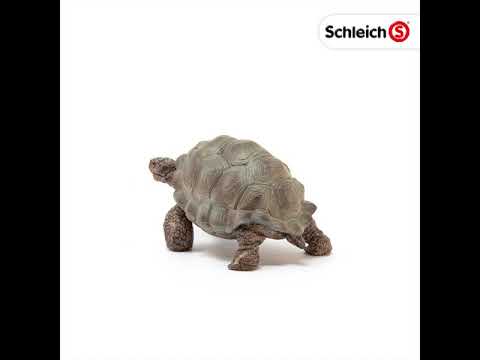 Schleich figūrėlė Vėžlys video