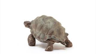 Schleich Korytnačka obrovská