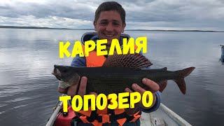 Когда ловить хариуса на онежском озере