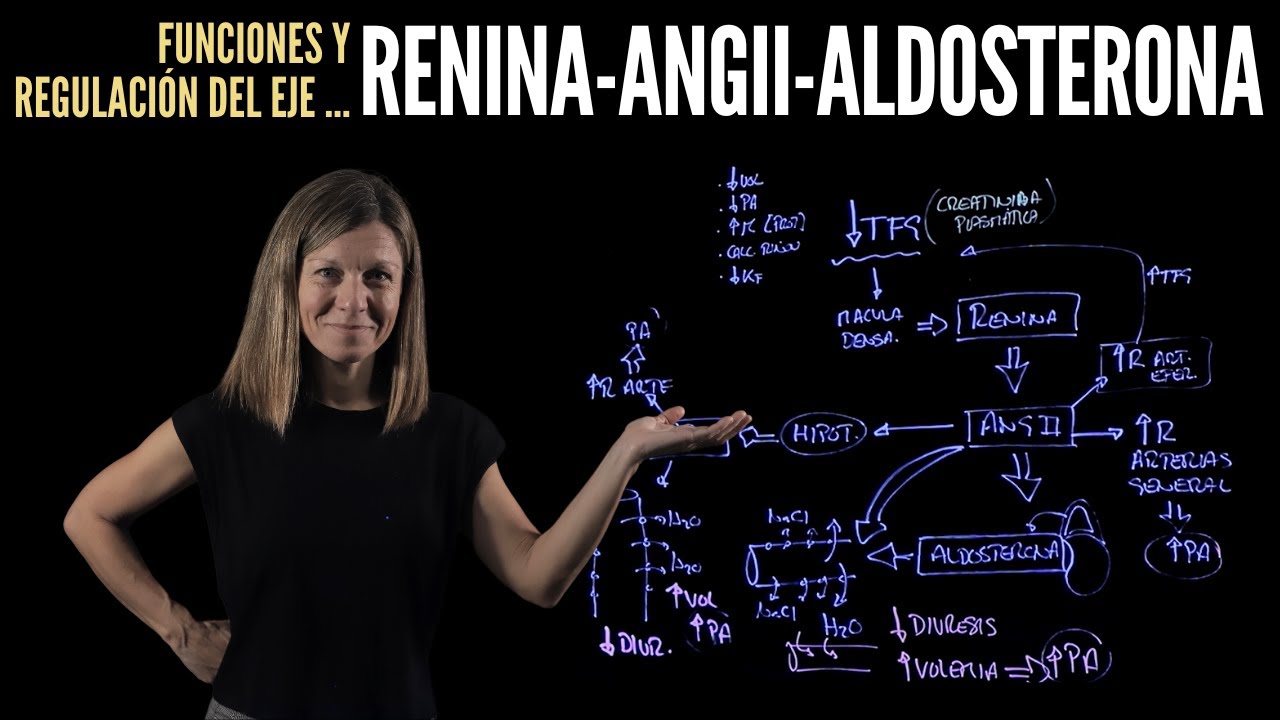 Eje Renina - Angiotensina II - Aldosterona: Funciones y regulación
