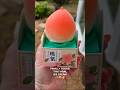 FINALLY Found This Viral Propitious Peach Propitious Mango Ice Cream ️