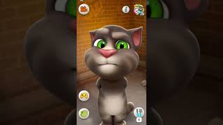 Talking Tom Cat #shorts