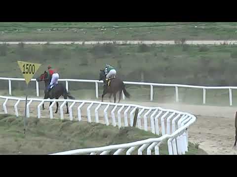 SINT FLORIDA 230810 c07 - 1° OVER A STAR