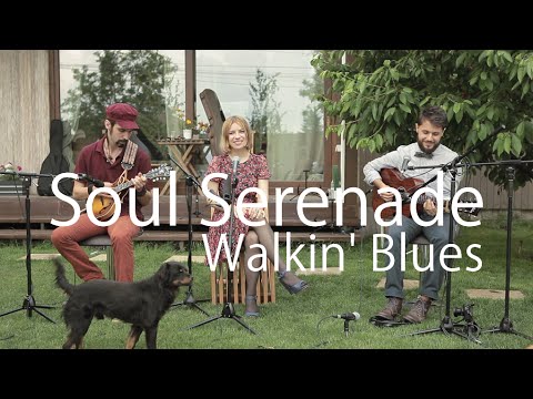 Soul Serenade - Walkin' Blues @ Free Live Sessions