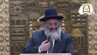איך להיות הורה טוב? שידור חי | הרב ישראל אברג'ל שליט"א, בנו וממשיך דרכו של הרב יורם