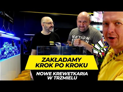 PIERWSZE TAKIE KREWETKARIA W TRZMIELU - ZAKŁADAMY KROK PO KROKU