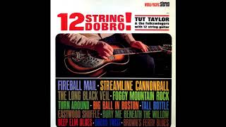 Tut Taylor &amp; The Folkswingers - Long Black Veil (Lefty Frizzell Cover)