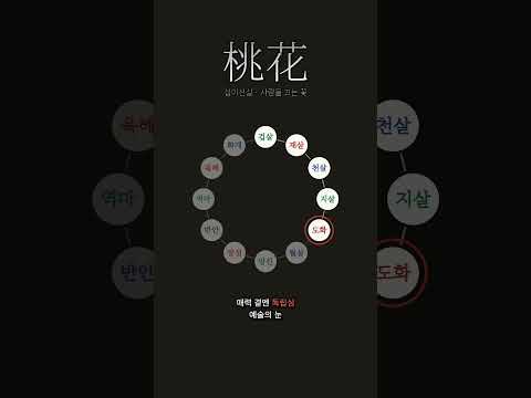 사람을 끄는 힘 자체에 죄가 있는가 | 도화살(桃花殺)