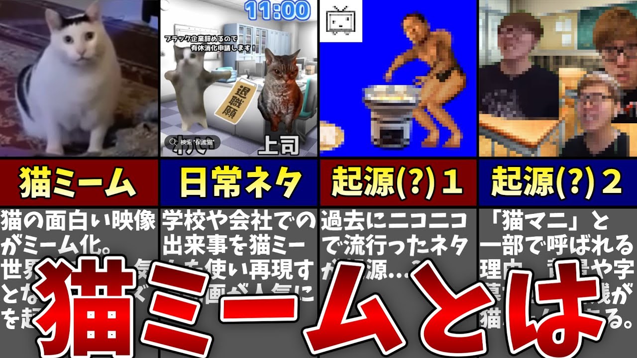 今一世を風靡しているネットのネタ、「猫ミーム」とは一体なんなのか...？？【ゆっくり解説】
