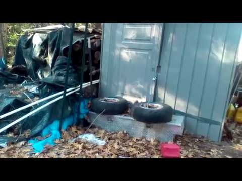 A SKUNK ALMOST SPRAYED ME!