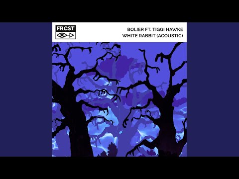 White Rabbit (Acoustic)