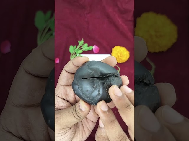 Ram Baan (Arrow) Shaligram Shila video