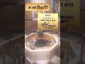 Sawan First Somwar 22 July 2024 Sawansomvar Sawanspacial Sawan2024 Harharmahadev Sawanspecial