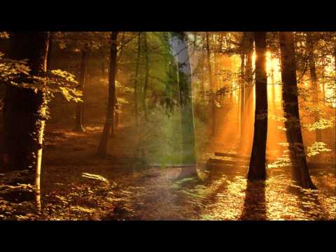 (HD 720p) Humoresque No. 7 Opus 101,   Antonín Dvořák