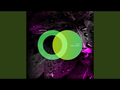 Fly with Y Do I (Original Mix)