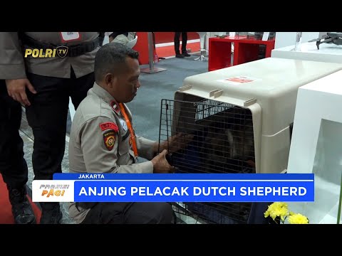 BAHARKAM POLRI KENALKAN UNIT K-9 DI AJANG EDRR 2025