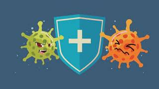 How Magnetic Shields Save Deep-Space Missions