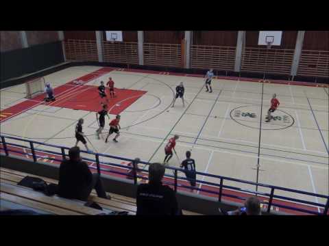 SUDET C01- SUDET D03  2.2.2017  3ERÄ